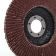 Tarcza listkowa do szlifowania lamelkowa lamelka 125mm/22,23mm szlif P60 - 7